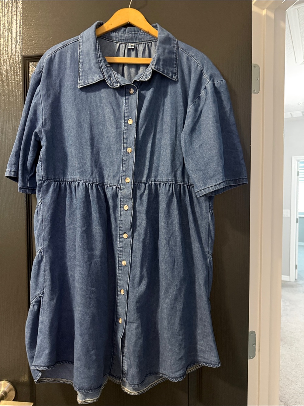 Women’s Denim Button-Front Dress - Blue